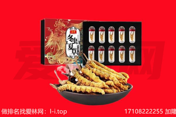 邛崃市回收虫草.jpg